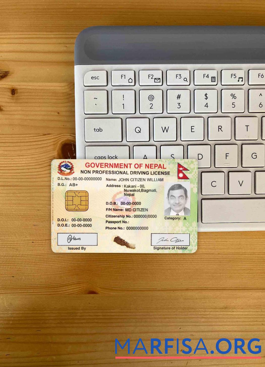 Printable Nepal smart DL photolook download for verification